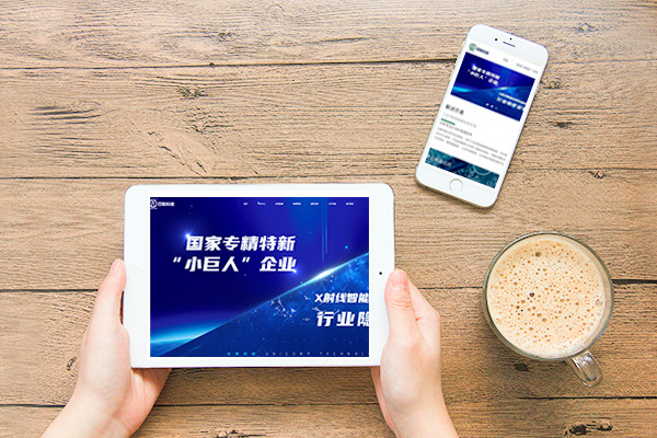 高端網(wǎng)站建設